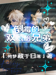 倒霉的双胞胎兄弟 封面