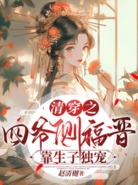 清穿之四爷侧福晋靠生子独宠 封面