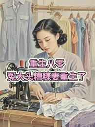 重生八零冤大头糟糠妻重生了 封面