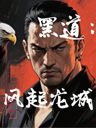 黑道：风起龙城 封面