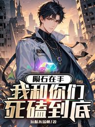 陨石在手，我和你们死磕到底 封面