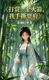 【打赏一个火箭，我手撕贾府】 封面