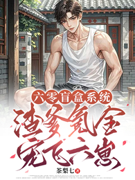 六零盲盒系统:渣爹氪金宠飞六崽 封面