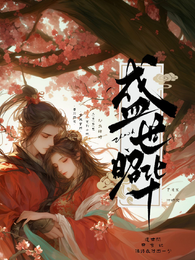 盛世昭华 封面