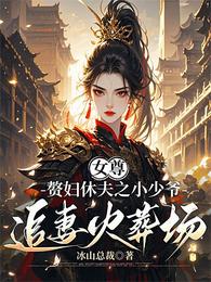 女尊:赘妇休夫之小少爷追妻火葬 封面
