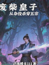 废柴皇子:从杂役杀穿五宗 封面