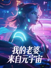 我的老婆来自元宇宙 封面