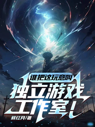 谁把这玩意叫独立游戏工作室!? 封面
