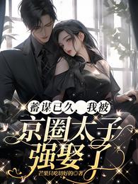 蓄谋已久，我被京圈太子强娶了 封面