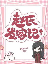 赵氏发家记 封面