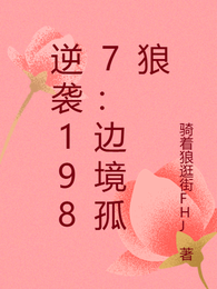 逆袭1987：边境孤狼 封面