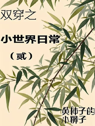 双穿之小世界日常贰 封面