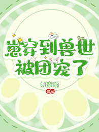 崽穿到兽世被团宠了 封面