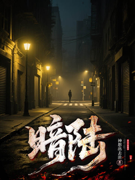暗陆 封面