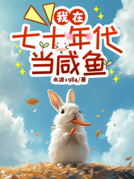 我在七十年代当咸鱼 封面