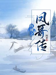 红楼之凤哥传 封面