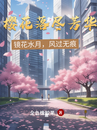 樱花落尽芳华 封面