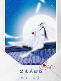 公主不回朝 封面