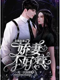 总裁追妻:娇妻不好惹 封面