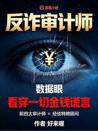 反诈审计师：看穿一切金钱谎言 封面