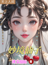 妙境仙子 封面