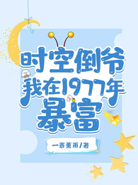 时空倒爷：我在1977年暴富 封面