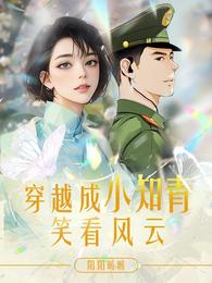 穿越成小知青笑看风云 封面