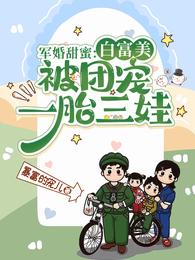 军婚甜蜜：白富美被团宠一胎三娃 封面