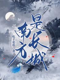南方是长城 封面