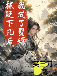 被贬下凡后我成了赘婿 封面
