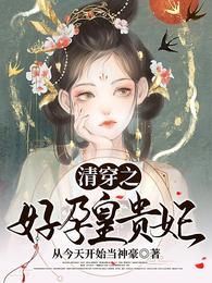 清穿之好孕皇贵妃 封面