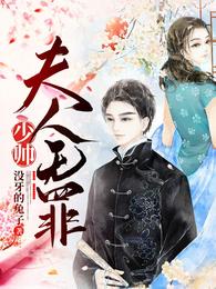少帅,夫人无罪 封面