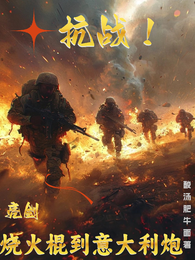 抗战：亮剑，烧火棍到意大利炮 封面