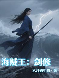 海贼：剑修 封面