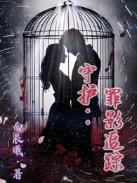 守护:罪影追踪 封面