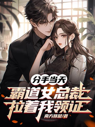 分手当天,霸道女总裁拉着我领证 封面