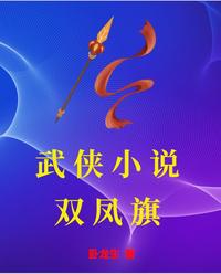 武侠小说双凤旗 封面