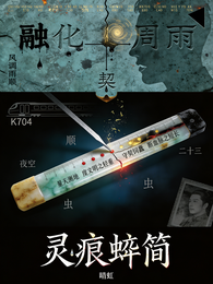 灵痕蚀简 封面