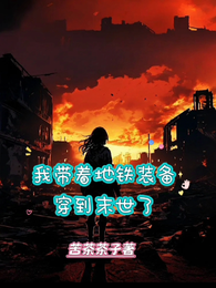 我带着地铁装备穿到末世了 封面