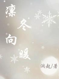 凛冬向暖 封面