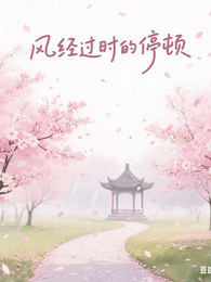 风经过时的停顿 封面