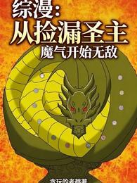 综漫:从捡漏圣主魔气开始无敌 封面
