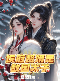 侯府赘婿是敌国太子 封面