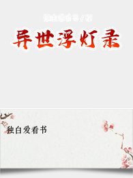 异世浮灯录 封面