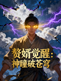 赘婿觉醒：神瞳破苍穹 封面