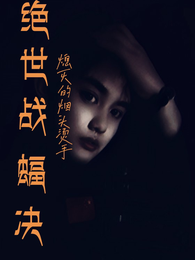 绝世战蝠决 封面