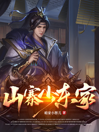山寨少东家 封面