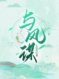 与风谋 封面