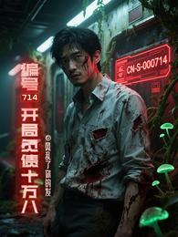 编号714开局负债十万八 封面
