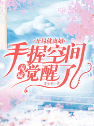开局就离婚，手握空间商城觉醒了 封面